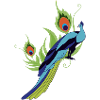 Pfau
