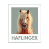 Haflinger Motif Horse Sweet