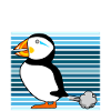 Puffins Farting Puffin