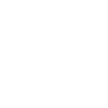 Puffin Bird Puffins