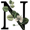 Letter N Green Botanical
