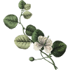 Letter N Green Botanical