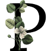 Letter P Green Botany
