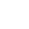 Priest Catholic Christian priest