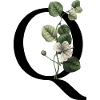 Letter Q Botanical Green