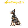 Doberman Owner ANATOMY OF A DOBERMAN Funny