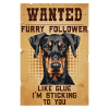 Doberman WANTED Hundebesitzer Dobermänner