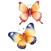 Butterflies