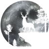Deer in the moonlight