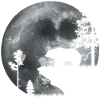 Bear in the moonlight