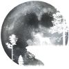 Hund im Mondlicht