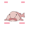 Süßer Blobfisch Hässlicher Fisch