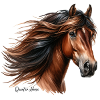 Quarter Horse