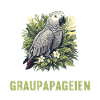 African grey parrots