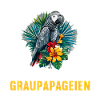 African grey parrots