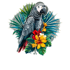 African grey parrots