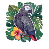 African grey parrots