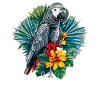 African grey parrots