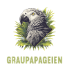 African grey parrots