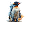 Penguin Kawaii Penguin Cute
