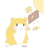 Backen Hamster Korea