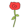 plant, flower, rose, symbol, pink
