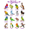 Different Cartoon Birds