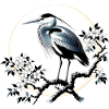 Grey White Heron Japanese Japan