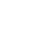 Santo