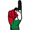 Palestine Flag Number 1