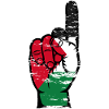 Palestine flag number 1 used