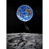 Planet switch