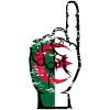 Algeria flag number 1 used