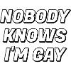 Nobody knows Im gay