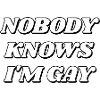 Nobody knows Im gay