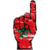 Drapeau marocain numéro 1 utilisé