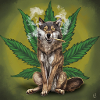 LUPU Der Wolf