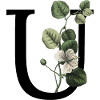 Letter U Green Botanical