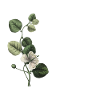 Green Botanical Letter w