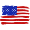 USA Flight - Pride