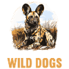 Wild Dogs Wild Dog