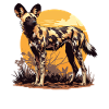 Wild Dogs Wild Dog
