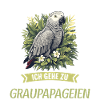 African grey parrots
