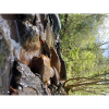Rivers n wildness