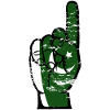 Drapeau pakistanais numéro 1 utilisé