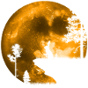 Rabbit in the moonlight