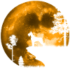 Terrier in the moonlight
