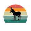 The Donkey Whisperer