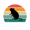 Le chuchoteur de rats