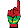 Bandiera della Mauritania numero 1